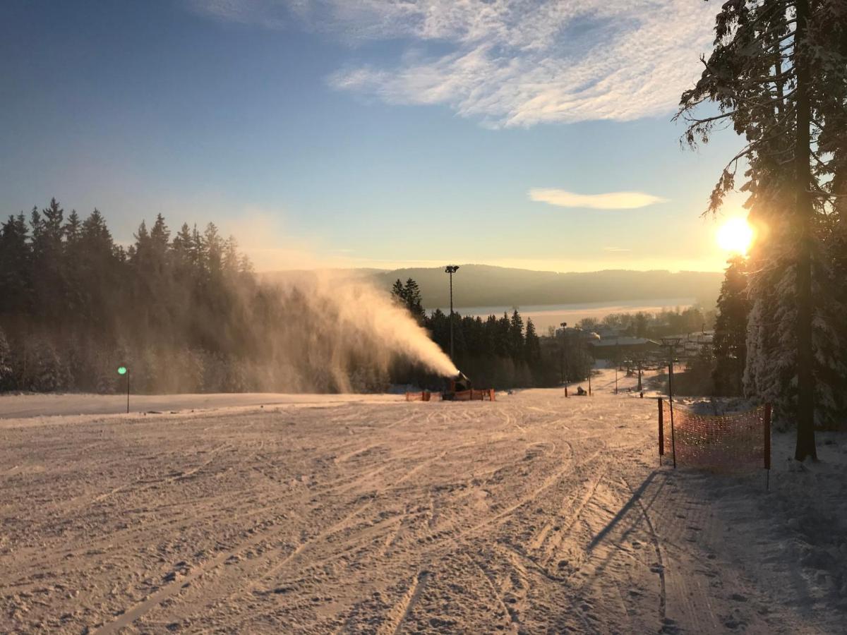 Hauslipno Bungalov Na Lipne 伏尔塔瓦河畔利普诺 外观 照片