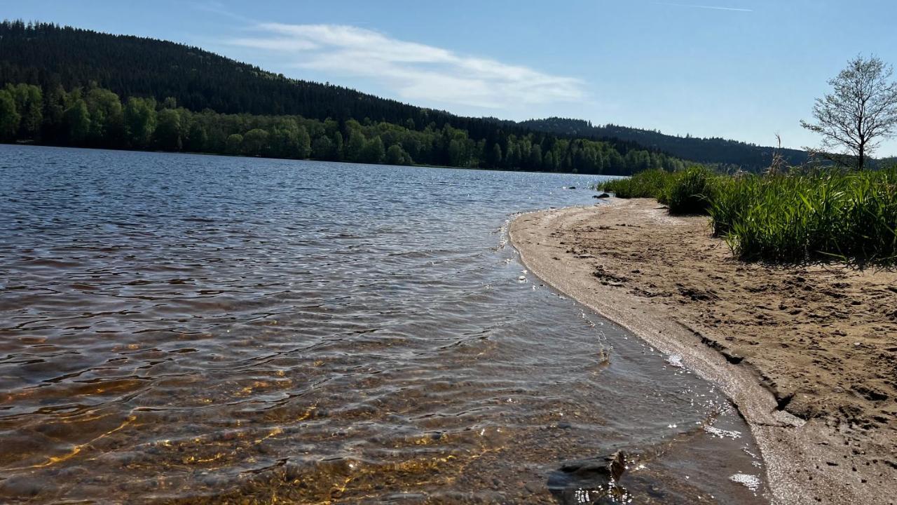 Hauslipno Bungalov Na Lipne 伏尔塔瓦河畔利普诺 外观 照片