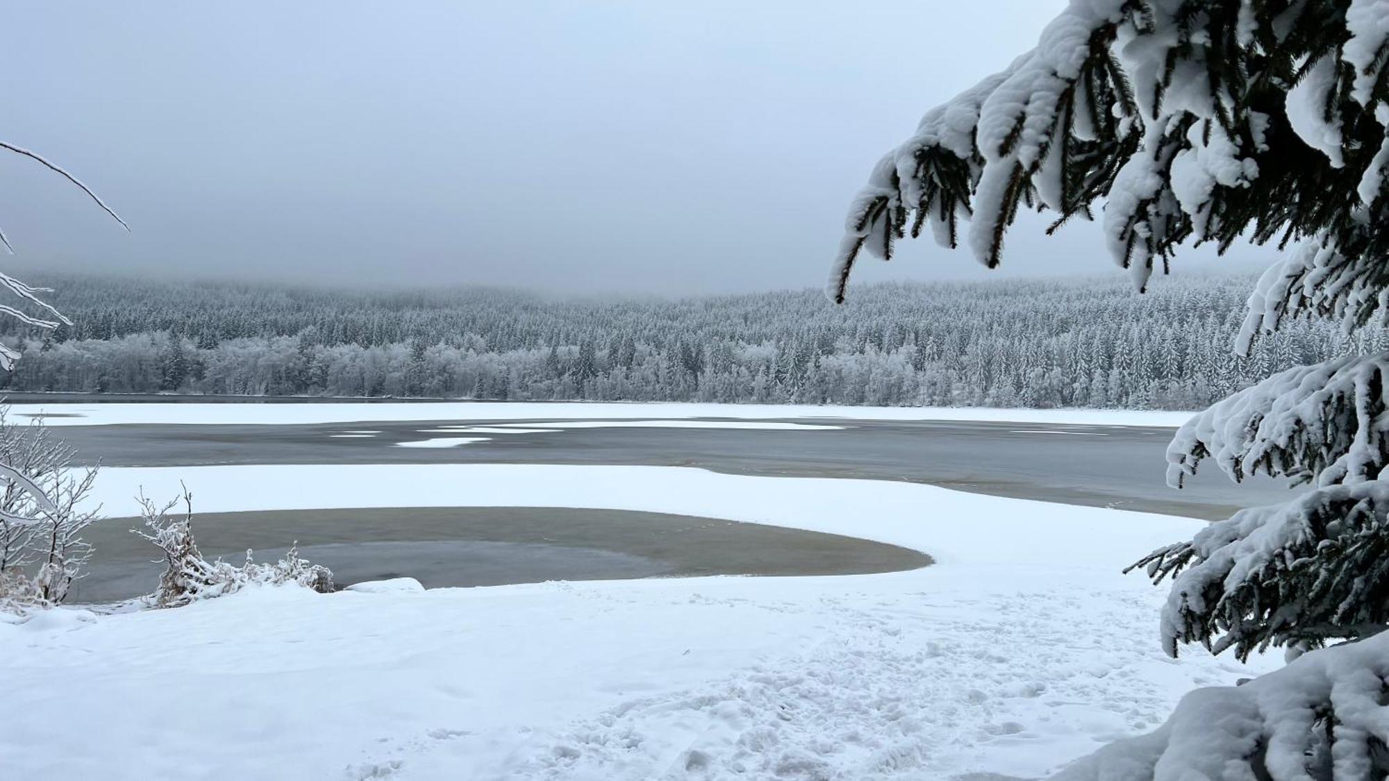 Hauslipno Bungalov Na Lipne 伏尔塔瓦河畔利普诺 外观 照片